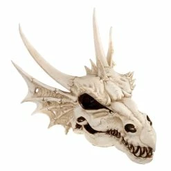 Wall Decoration The Last Dragon Skull
