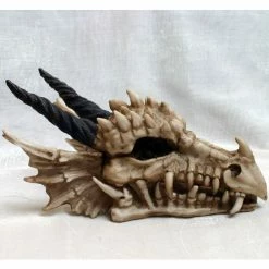 Box (decoration) Dragon Skull -Furniture Cosplay Shop 64508 4