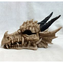 Box (decoration) Dragon Skull -Furniture Cosplay Shop 64508 6