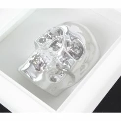 Image Silver Skull In Frame -Furniture Cosplay Shop 81123 2