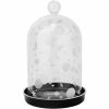 Decoration (jar For Succulents) KILLSTAR - Empyrean Display Dome 2 Decoration (jar For Succulents) KILLSTAR - Empyrean Display Dome -Furniture Cosplay Shop EMPYREAN DISPLAYCASE