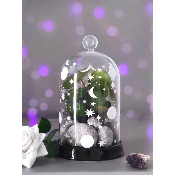 Decoration (jar For Succulents) KILLSTAR - Empyrean Display Dome 4 Decoration (jar For Succulents) KILLSTAR - Empyrean Display Dome - Image 2
