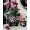 Decoration (flowerpot) KILLSTAR - Owl - Black -Furniture Cosplay Shop OWL PLANTER B