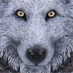 Wall Decoration Guardian Of The Fall 12 Wall Decoration Guardian Of The Fall -Furniture Cosplay Shop b5398s0 3