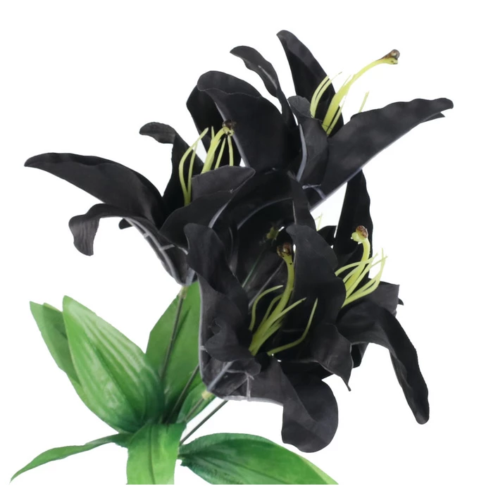 Decoration ALCHEMY GOTHIC - Black Lily 4 Decoration ALCHEMY GOTHIC - Black Lily - Image 2