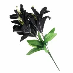 Decoration ALCHEMY GOTHIC - Black Lily 7 Decoration ALCHEMY GOTHIC - Black Lily -Furniture Cosplay Shop lilie 9