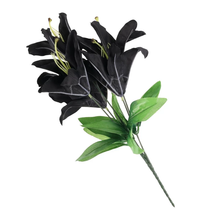 Decoration ALCHEMY GOTHIC - Black Lily 5 Decoration ALCHEMY GOTHIC - Black Lily - Image 3