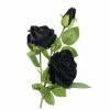 Decoration ALCHEMY GOTHIC - Black Rose 1 Decoration ALCHEMY GOTHIC - Black Rose -Furniture Cosplay Shop sssa 007