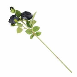 Decoration ALCHEMY GOTHIC - Black Rose -Furniture Cosplay Shop sssa 011